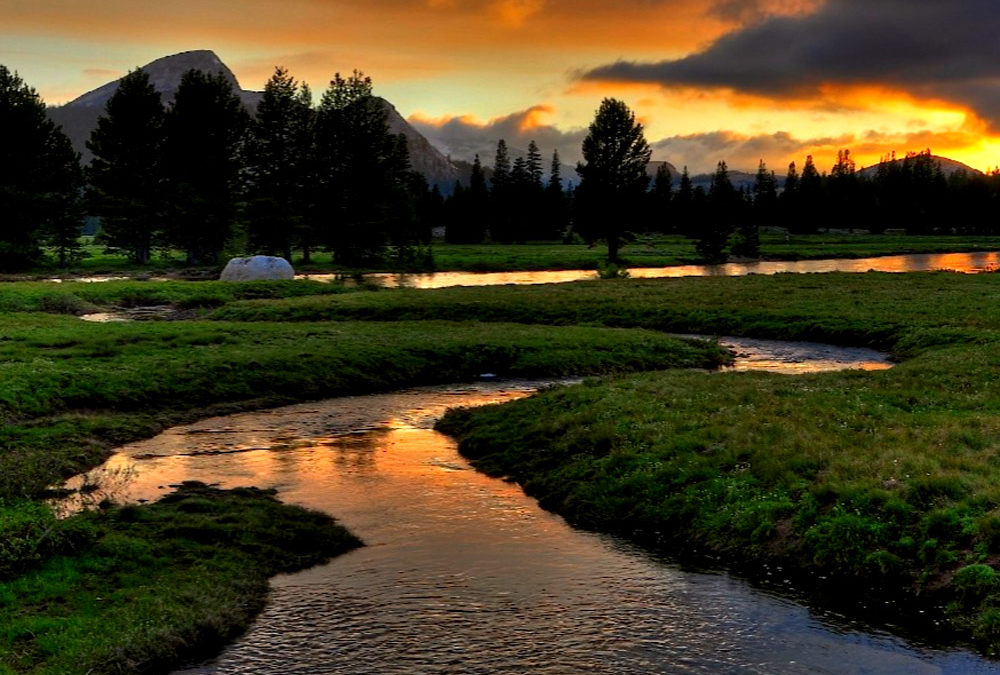 Tuolumne Meadows Water Treatment System Replacement