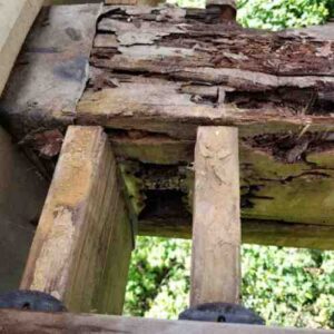 Structural Deterioration in Wood Member