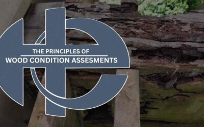 HECO Case Study | Wood Condition Assessment