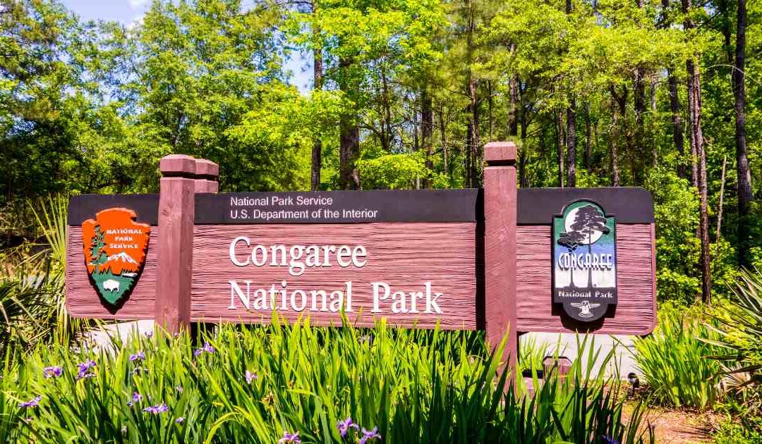 Structural Rehabilitation Services at Congaree National Park