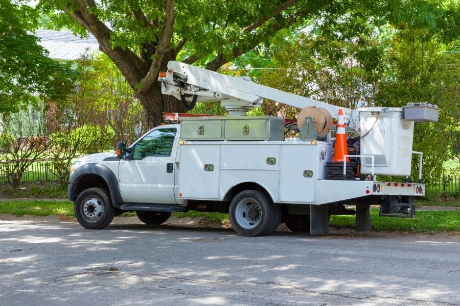 Forensic Structural Engineering and Damage Assessements